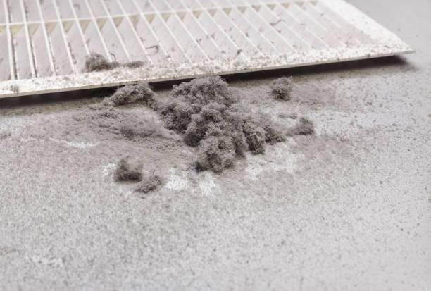 Best Ductwork Cleaning Services  in Lochearn, MD