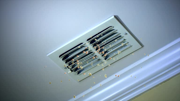 Best Local Air Duct Cleaning Services  in Lochearn, MD