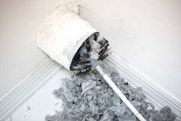 Best Duct Cleaning for Offices  in Lochearn, MD